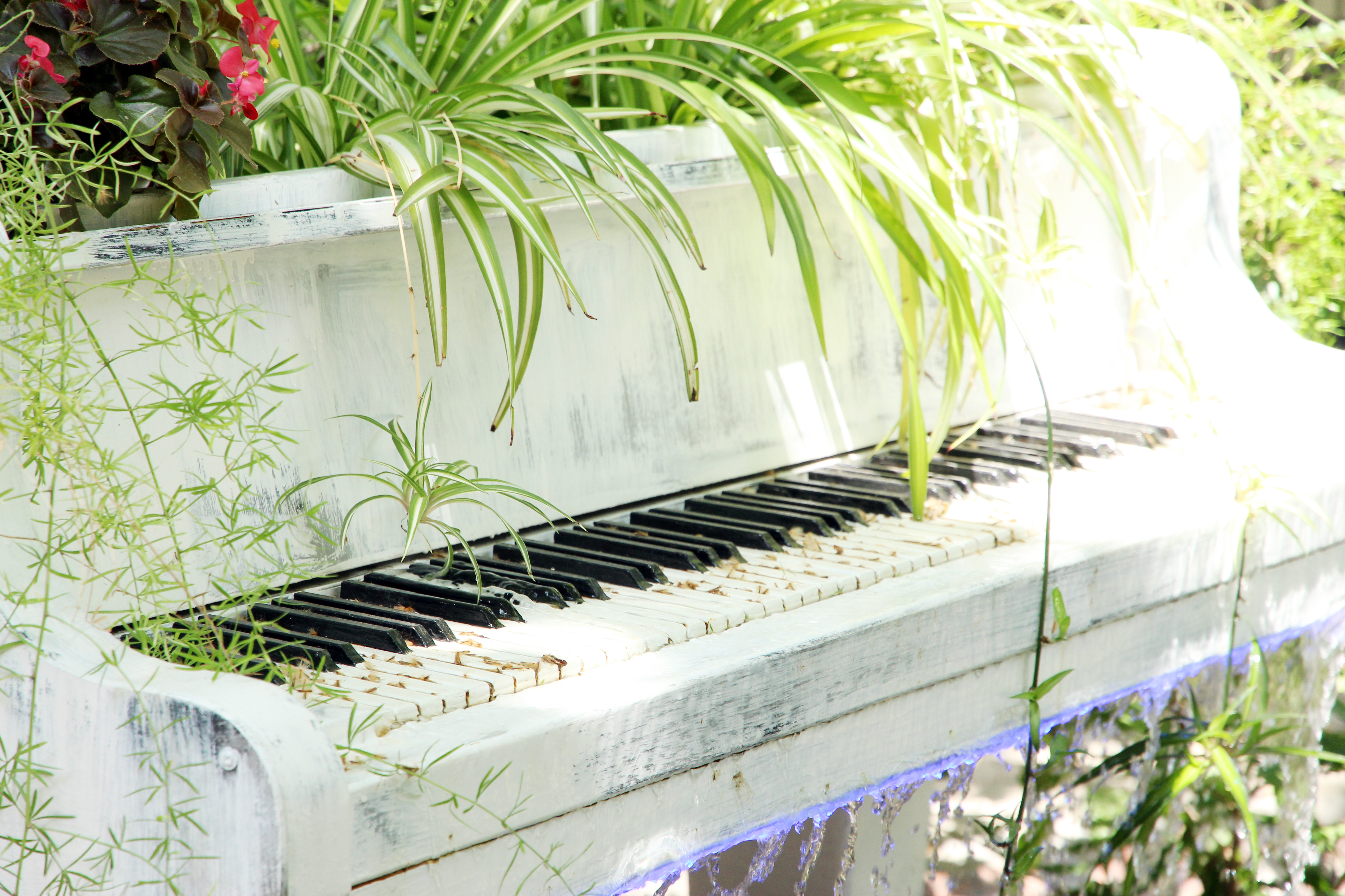 piano lessons in nyc